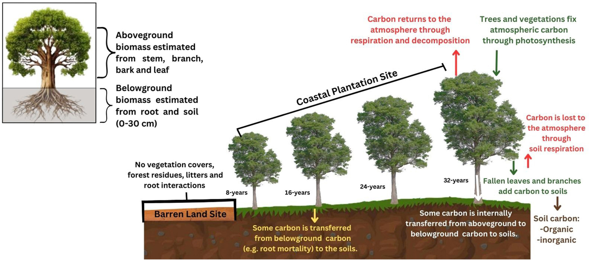 Research Image